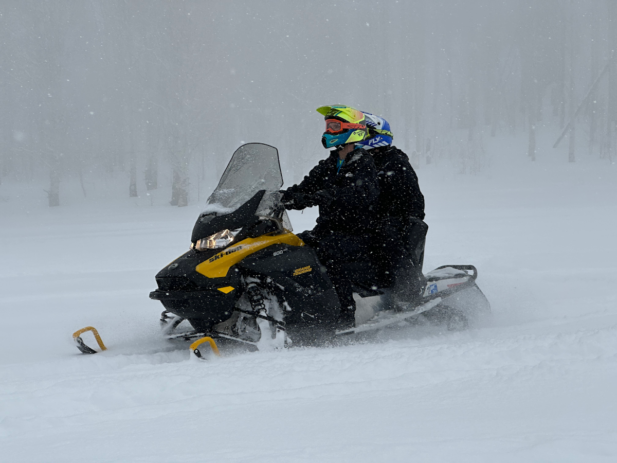 Snowmobile Abundance