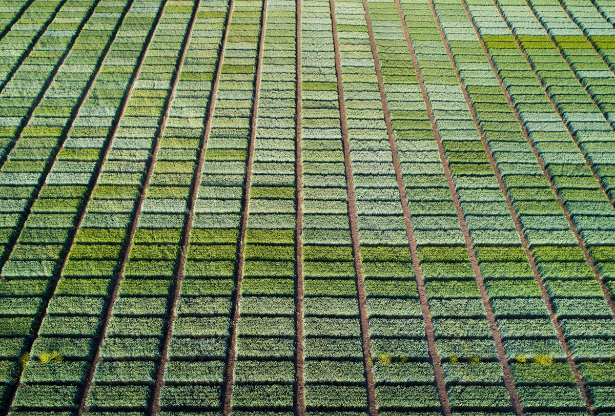 FDA Under Trump Should Continue Streamlining Regulations for New Plant Varieties