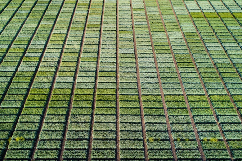 Adobe Stock 353846939