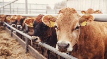 Adobe Stock 391814017