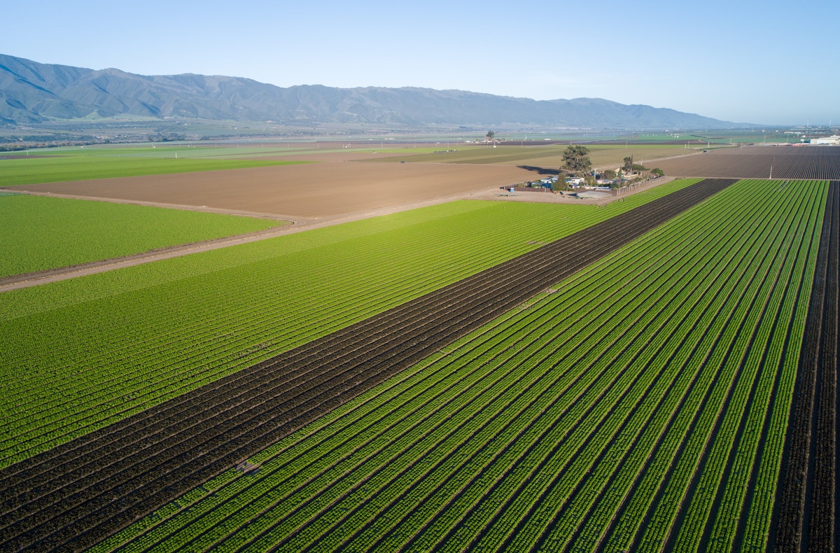 Will Climate Change Really Take Away Our Breakfast?