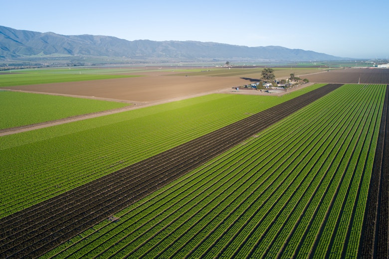 Ag Yields Salinas