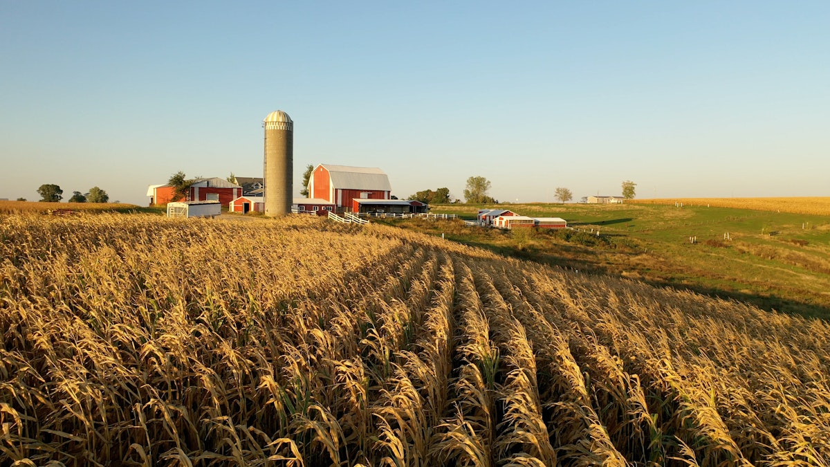 Farm Bill Negotiations Drag On