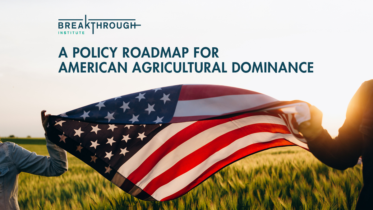 Why Trump Must Act Now to Secure Global Agricultural Leadership