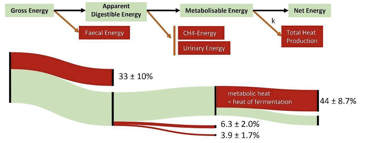 Screen Shot 2024 11 18 at 12 12 41 PM