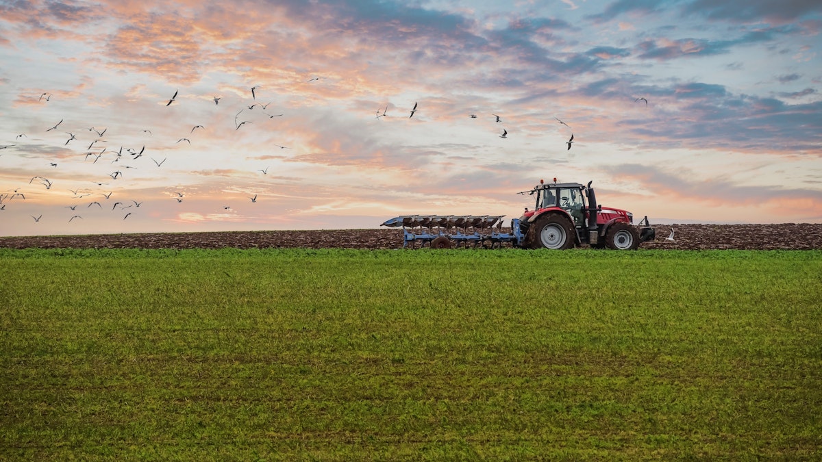 What is the Sustainable Agriculture Research and Education Program?