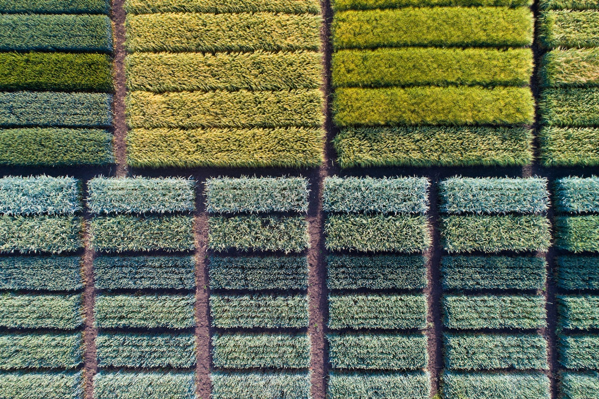 Can Sidestepping NEPA "Unleash Innovation" at USDA?