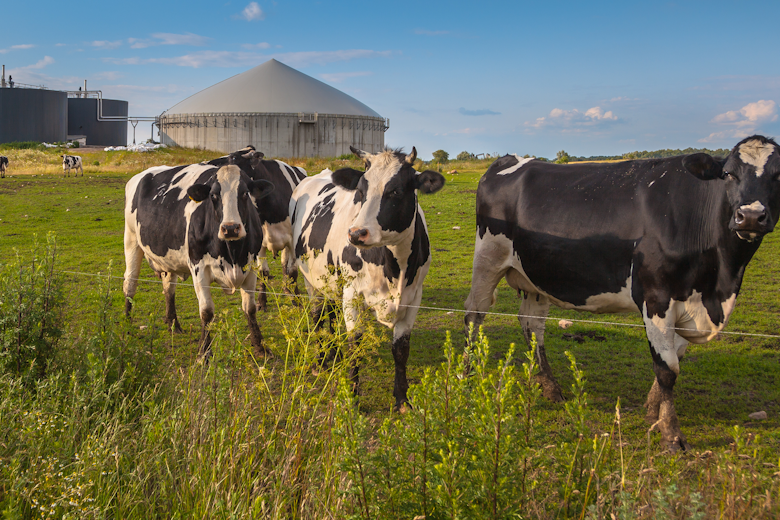 USDA Comment Banner Final