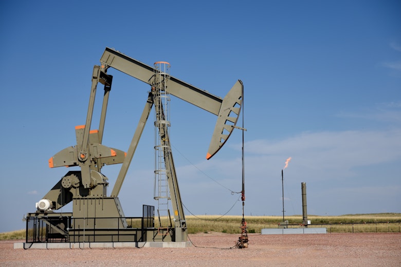 Adobe Stock 229280513