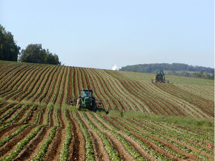 Tractor Potato Field