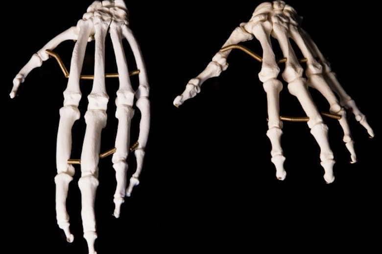 Evolve   Ape Vs Human Hands