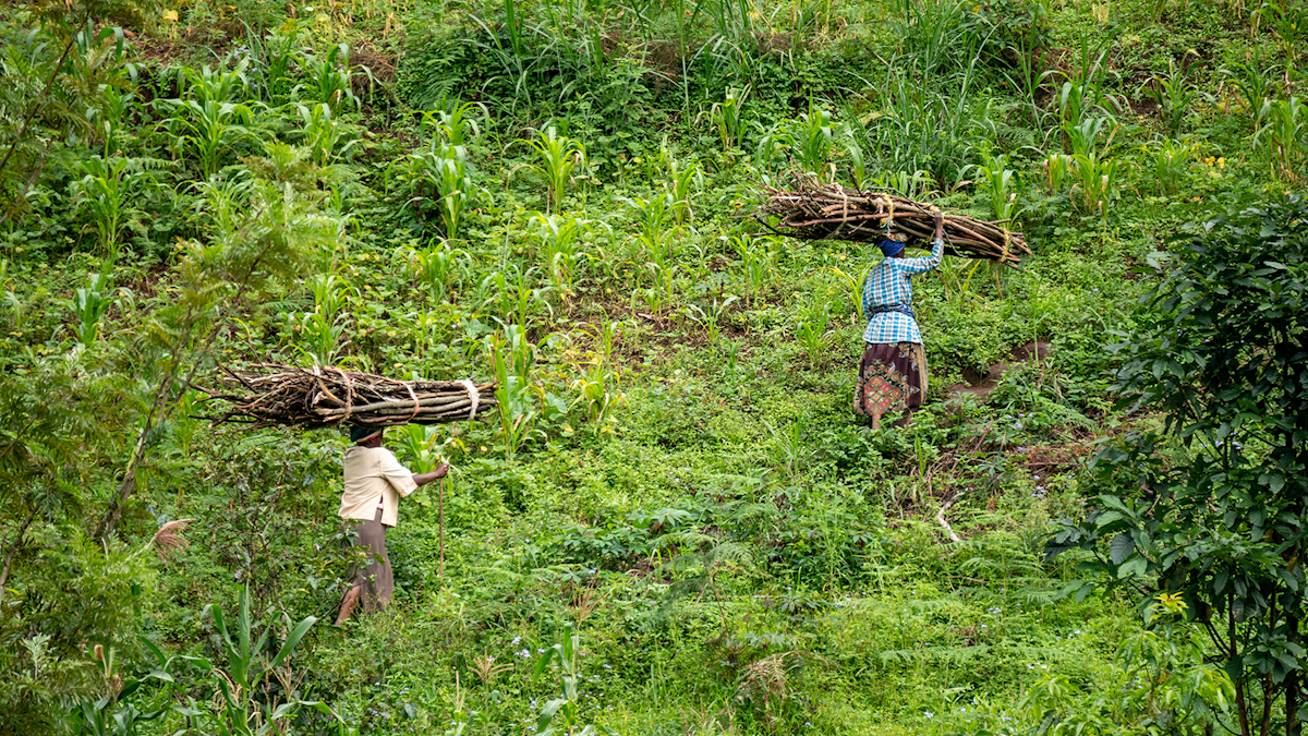 Green Colonialism: Rich Countries’ Climate Policies Keep the Global South Poor