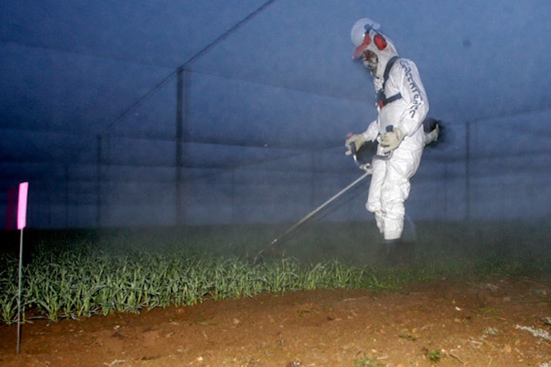 569777 Greenpeace