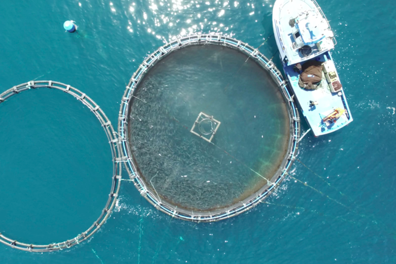 Open Ocean