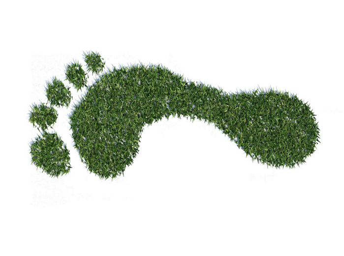 Grass Footprint Chris Potter