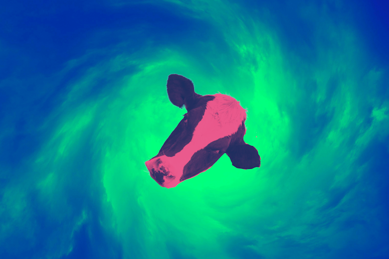 The Coming 22 Meat Vortex22