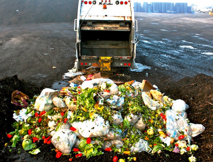 Food Waste Main