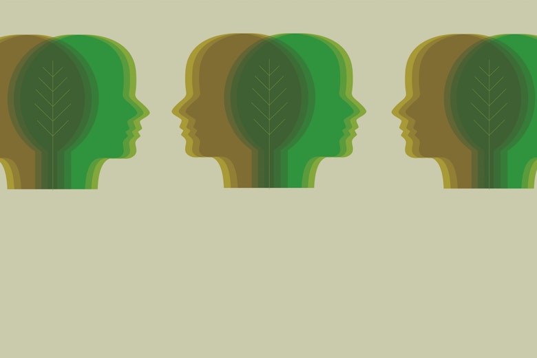 Beige Journal 10 Cover