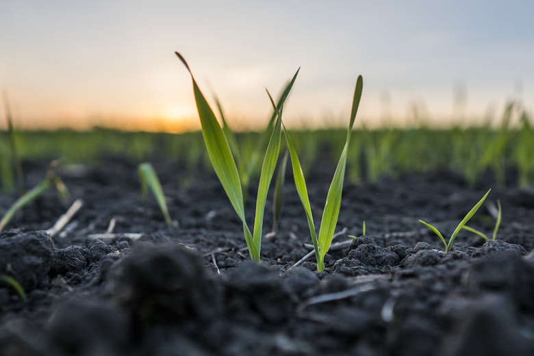 Dan book review 2880x1532 1