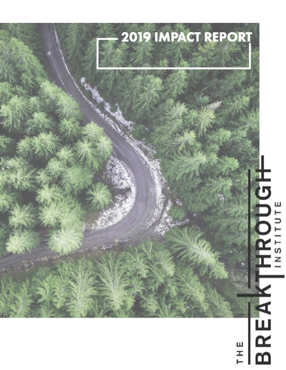 2019 Impact Report cover