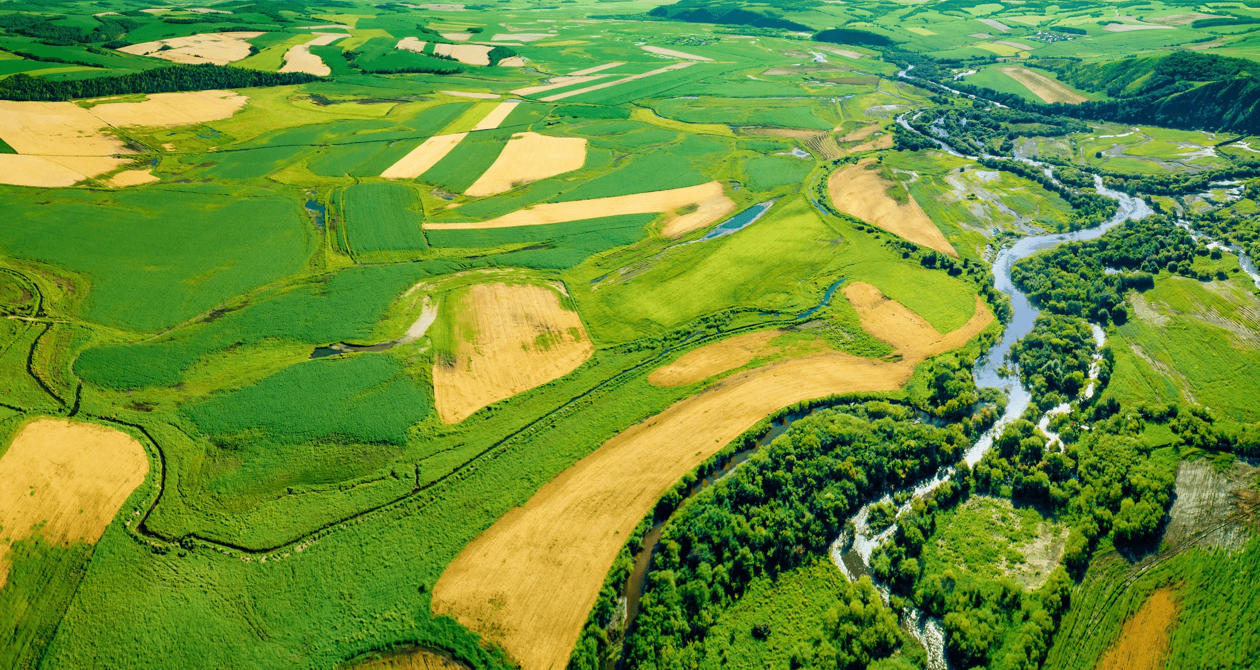 Adobestock 230916662 2880 8Bit