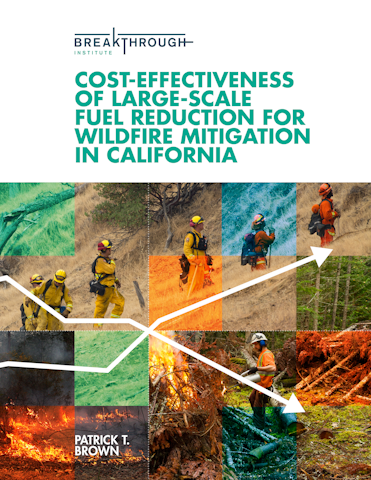 BTI Cost Effectiveness of Fuel Reduction COVER