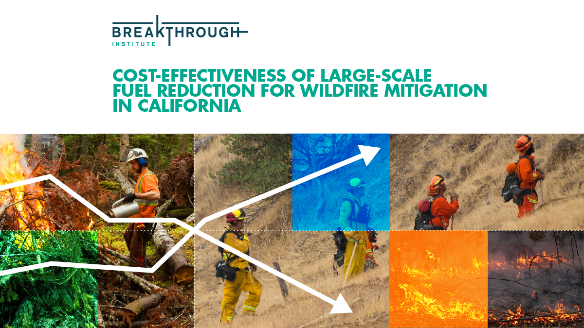 BTI Cost Effectiveness of Fuel Reduction COVER