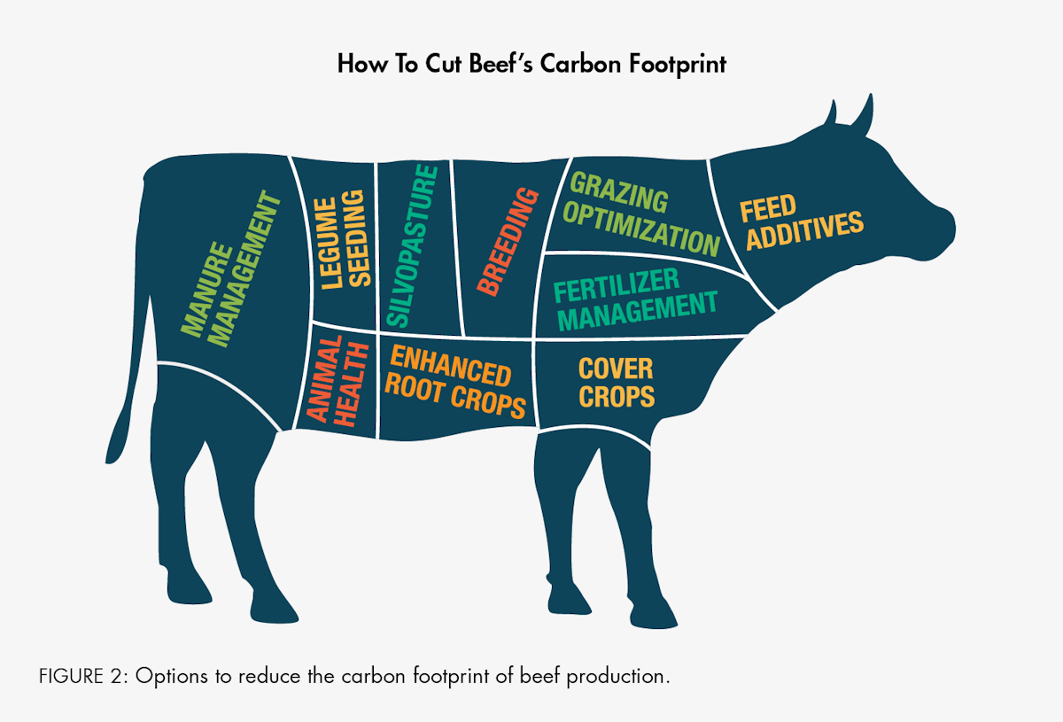 Reducing the Carbon Footprint of Cattle Operations through Diet