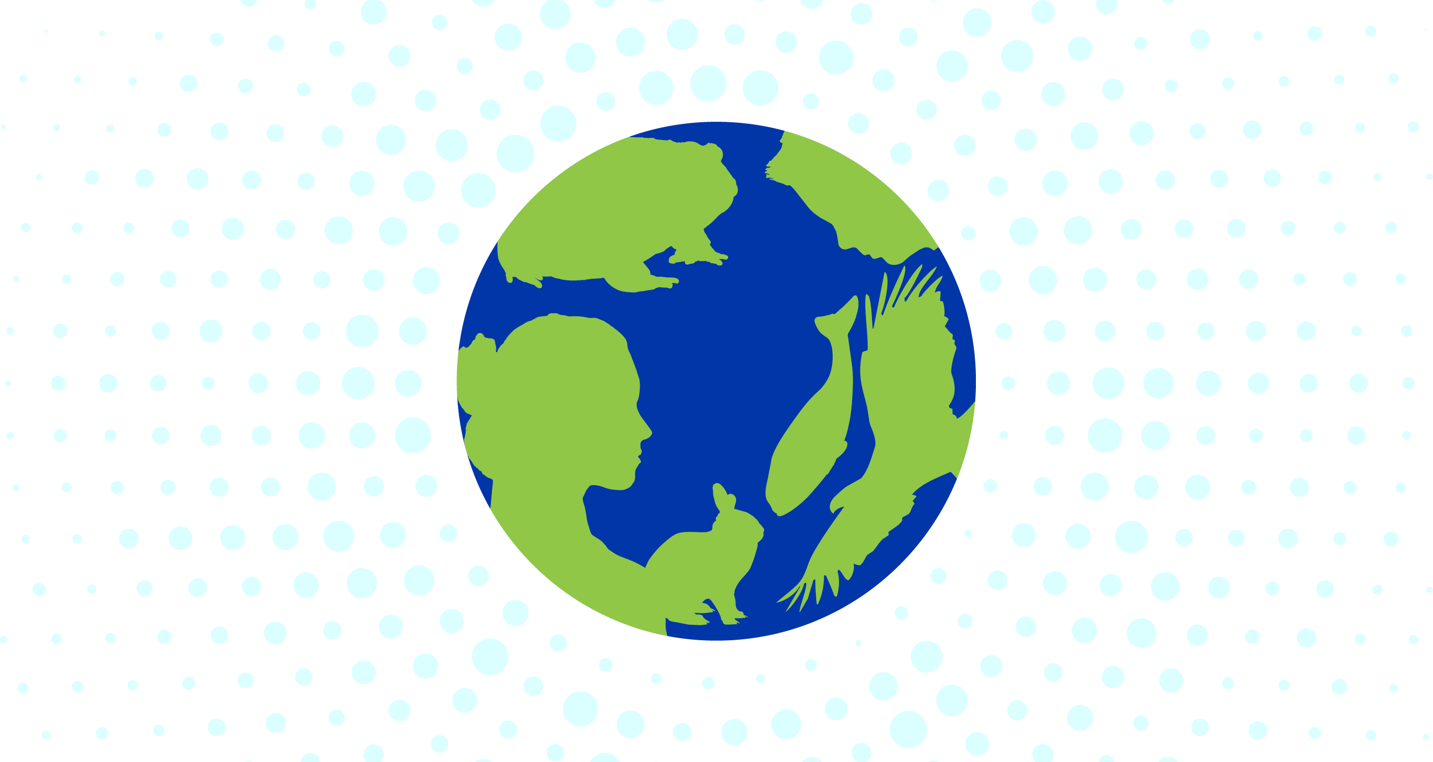 Journal11 Website Cover Photo 100