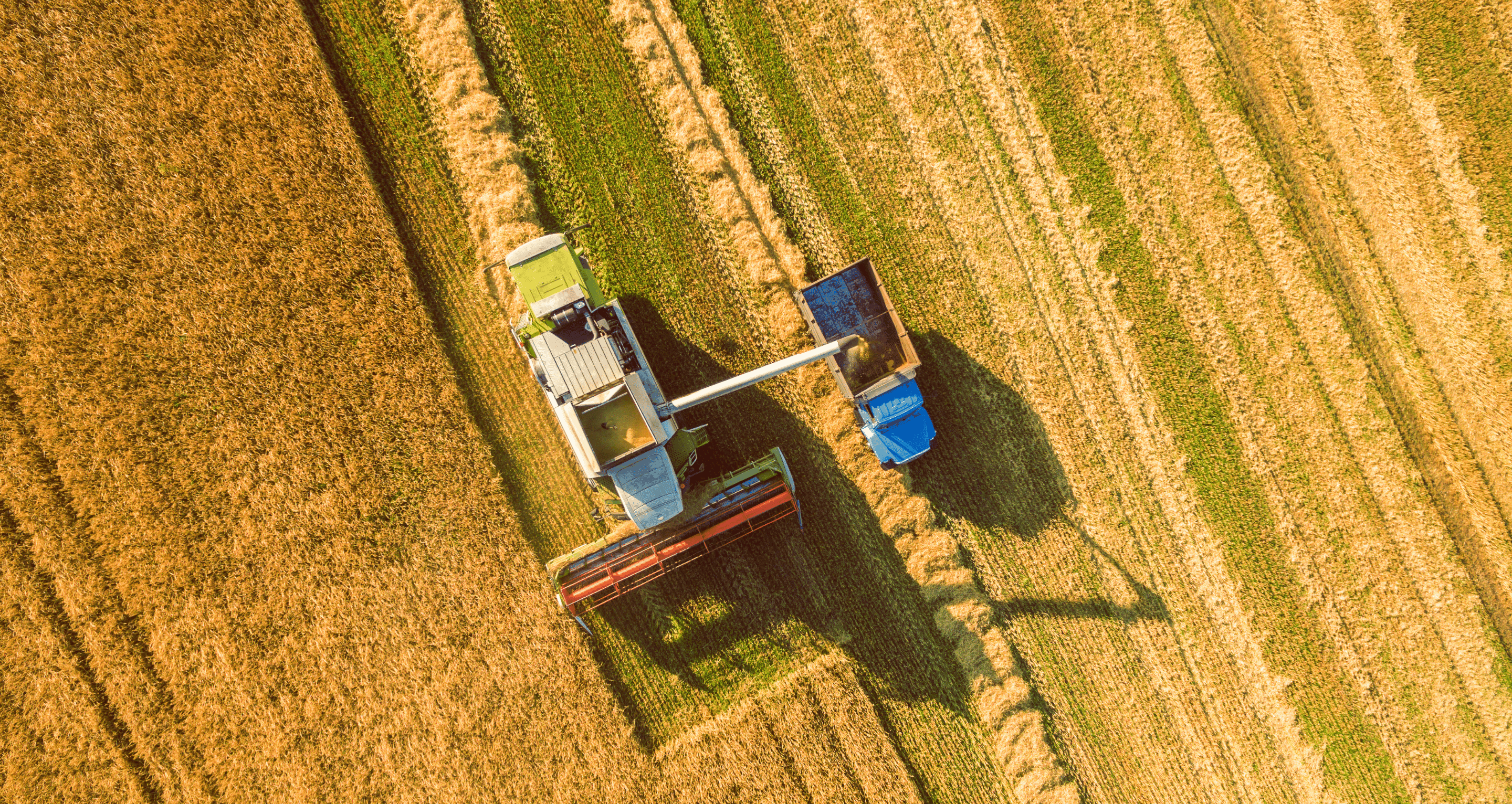 Measuring What Matters