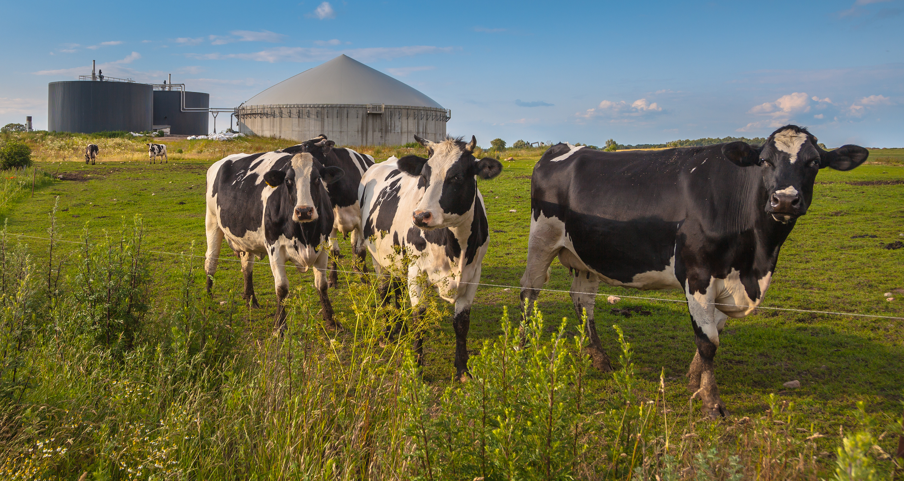 USDA Comment Banner Final