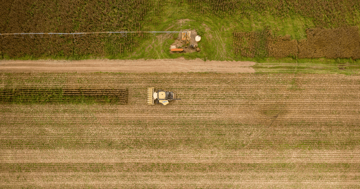 agriculture and food research