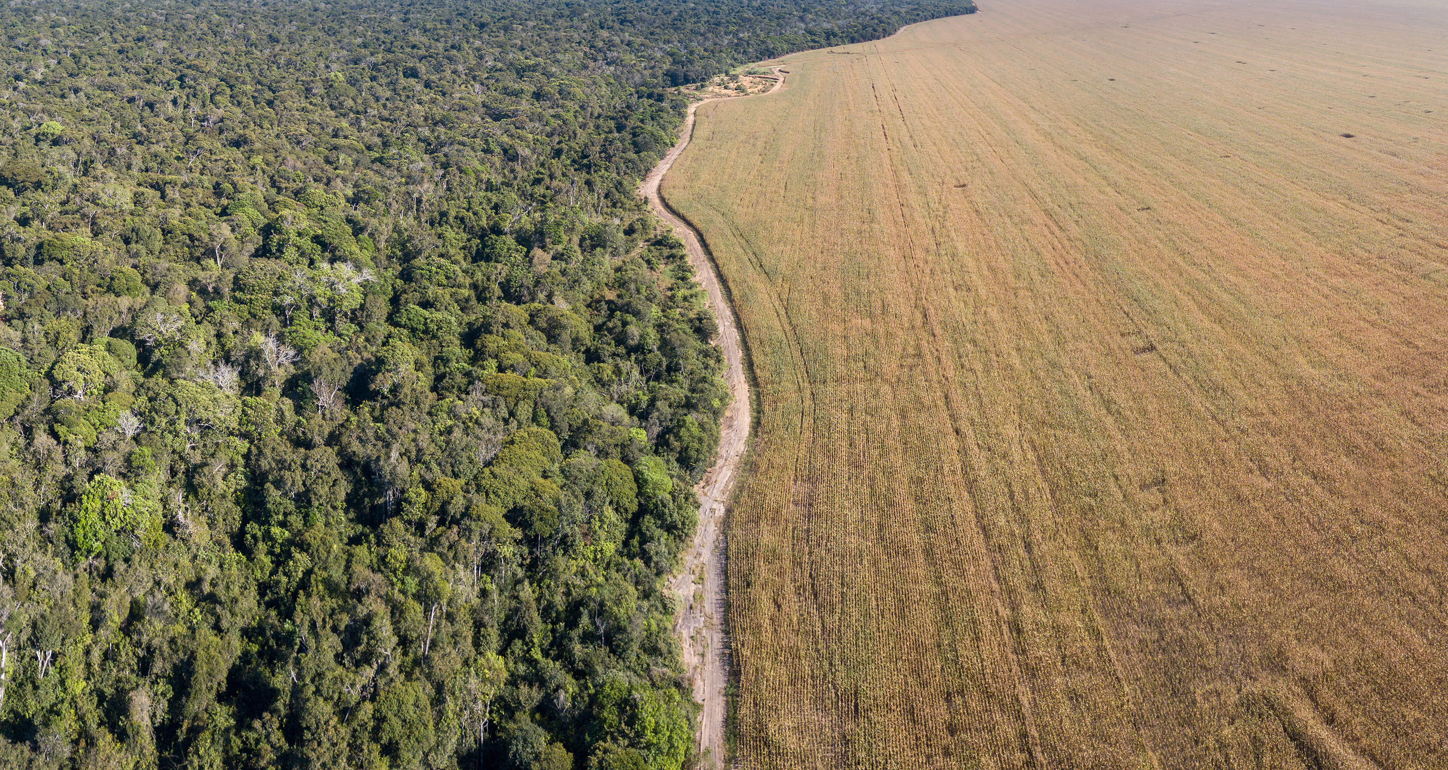 Ag conservation memo cover