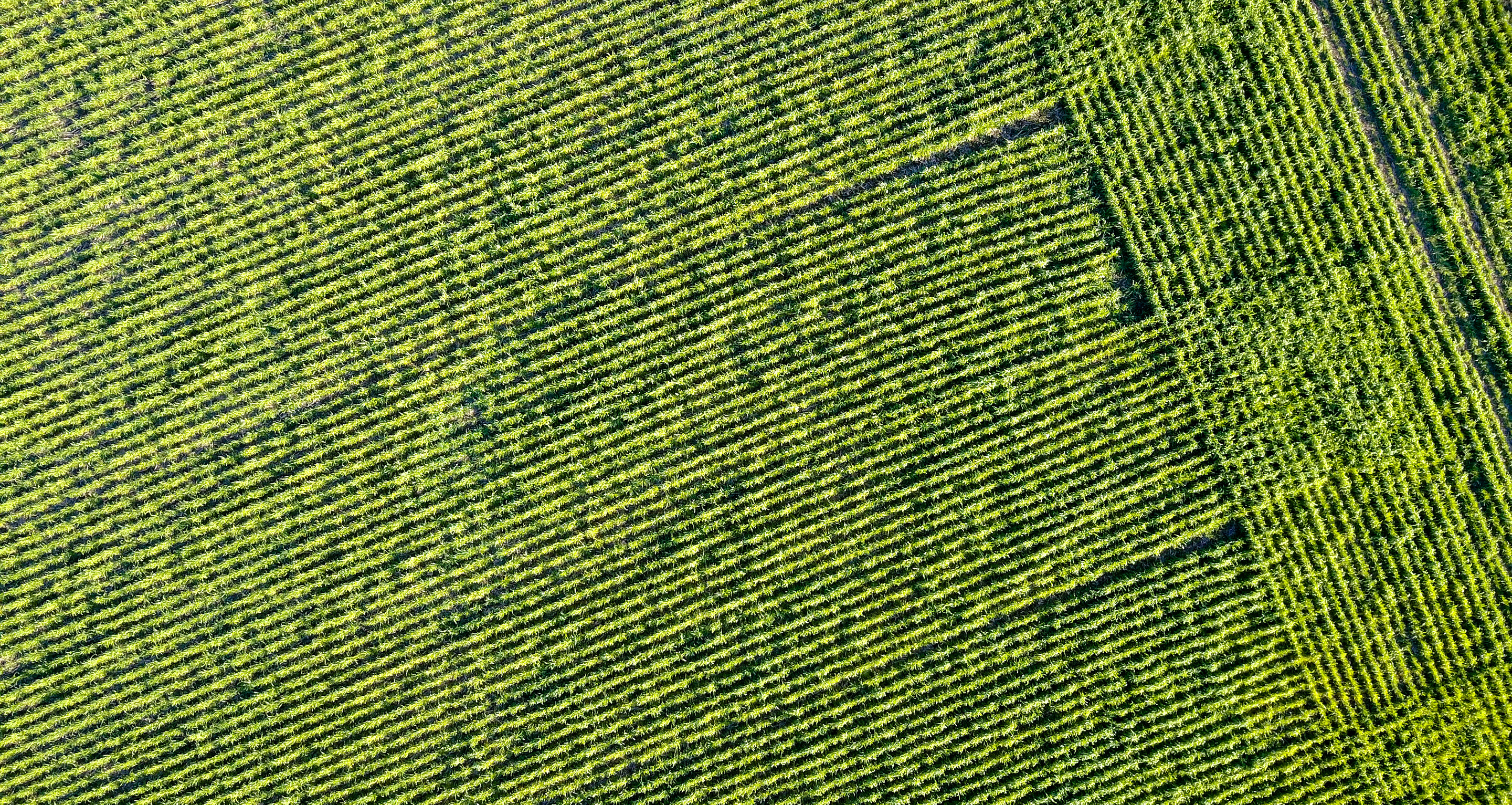 Ag consolidation cover