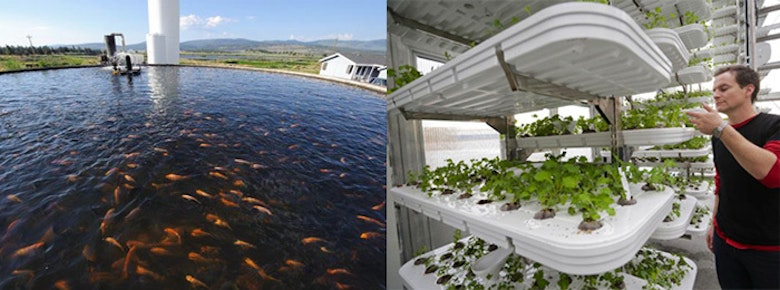 Aquaculture Vertical Farm Main