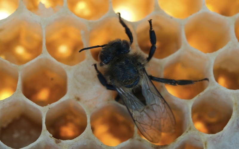 An Environmental Journalists