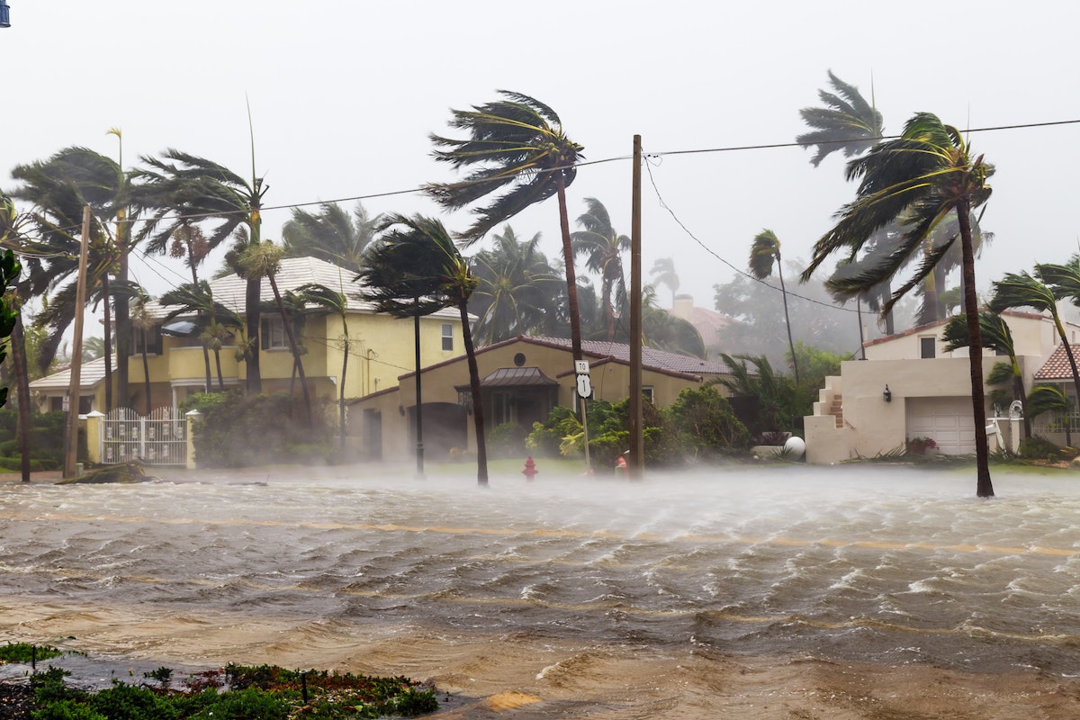Are Hurricanes the Icons of Climate Change They are Made Out to Be?