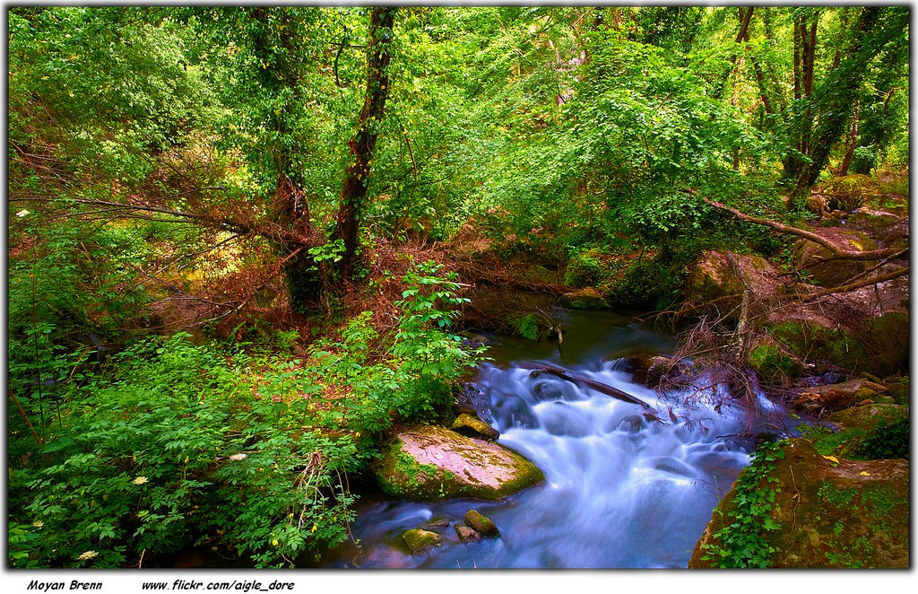 7356883942 0F87546823 B