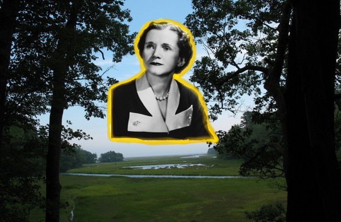 Rachel Carson Banner