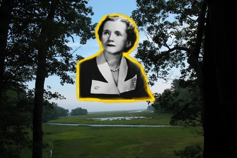Rachel Carson Banner