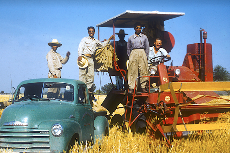 Borlaug India Main