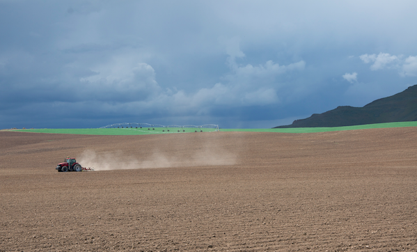 Industrial Agriculture