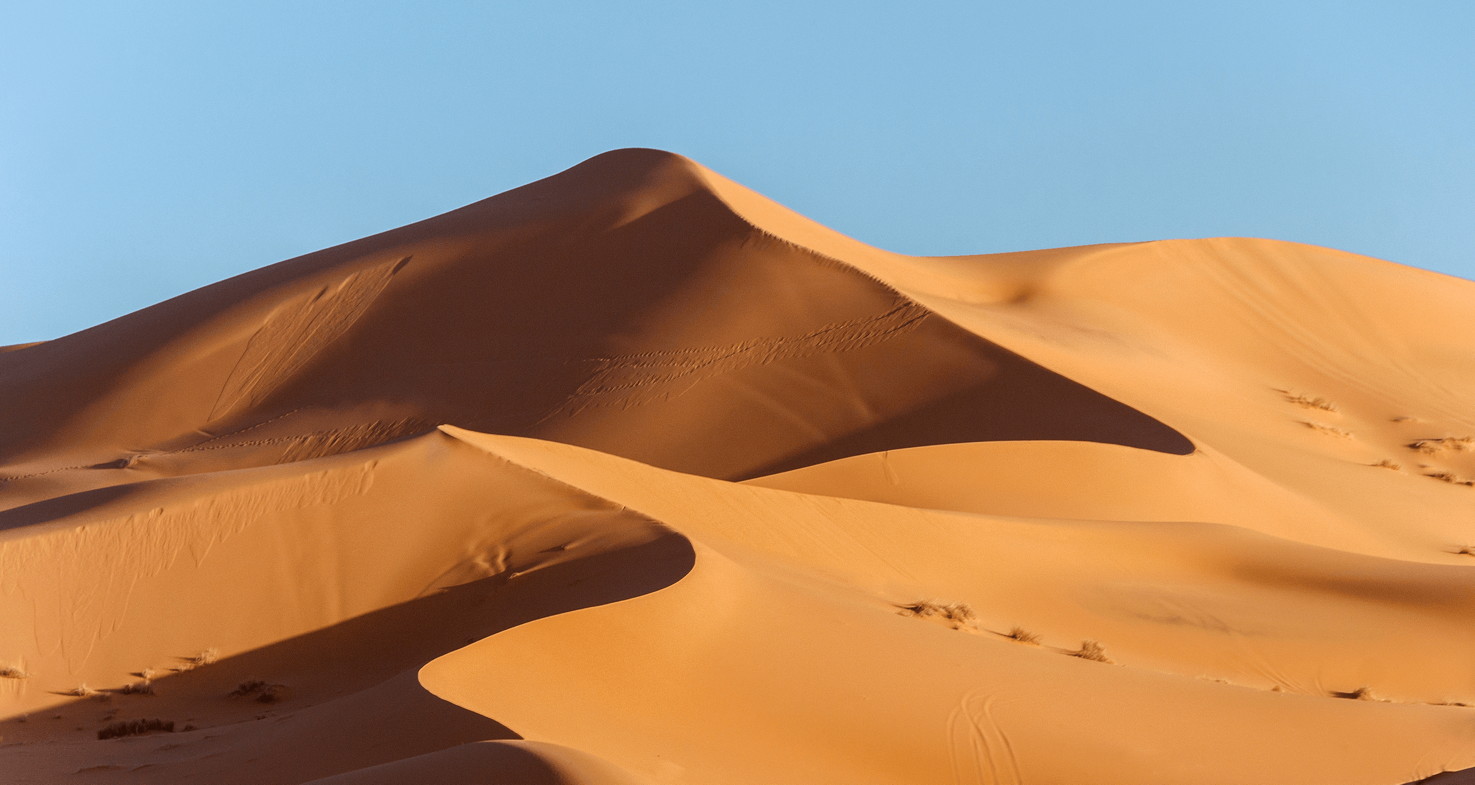 Environmentalism at Swordpoint