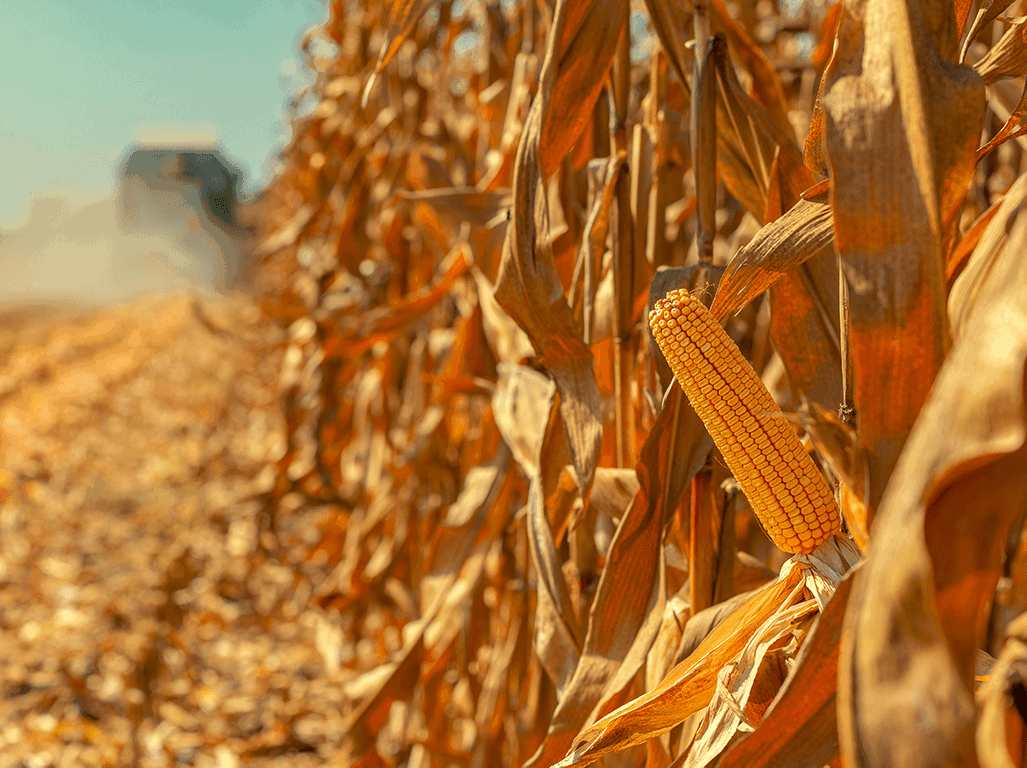 Genetically Engineered Crops Are Key to Lower-Carbon Agriculture