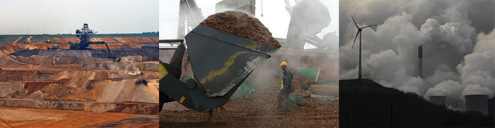 Trash Trees Taxes Main