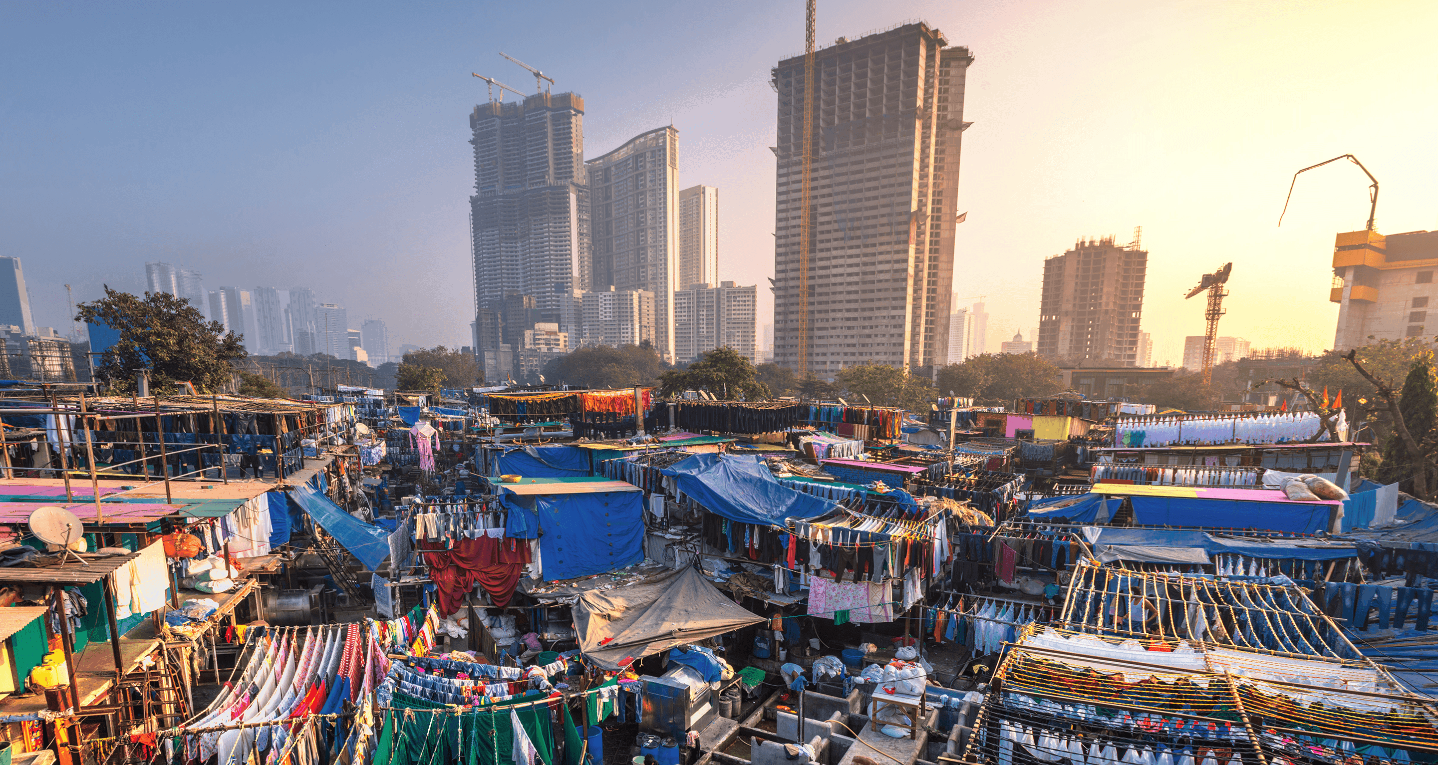 Green Growth Wont Kill the Planet