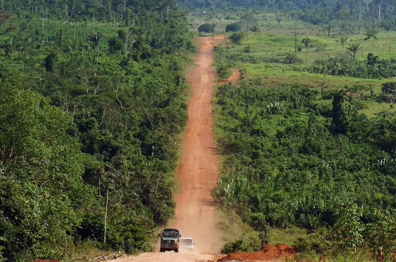 Road Through The Amazon