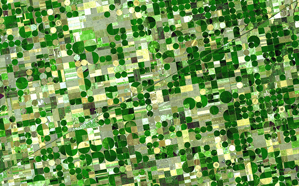 Ritchie Response Cover