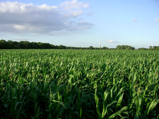 Science And Politics