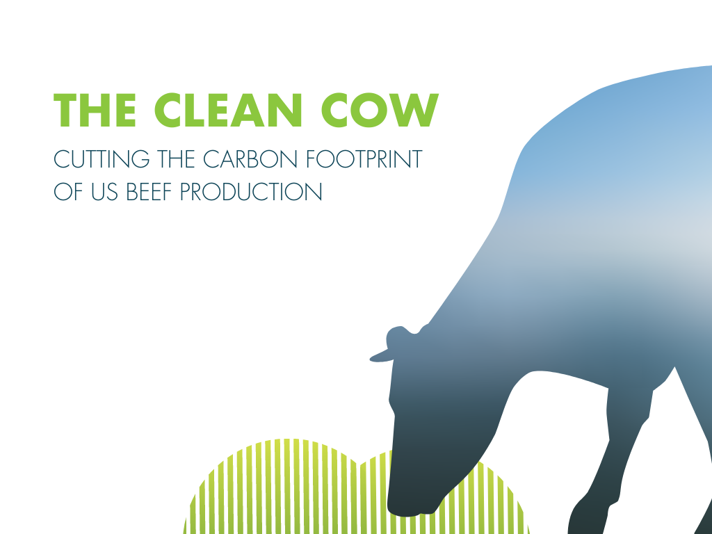 Clean Cow Web Banner 2